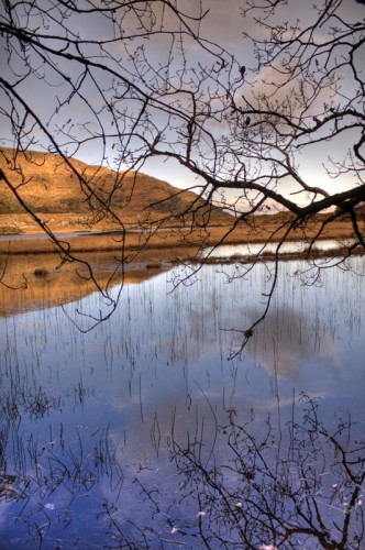 Killarney National Park - 'Watery Meadow'