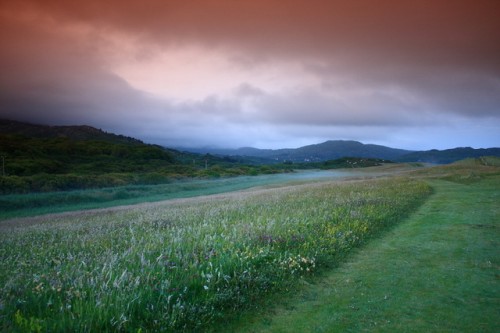 Derrynane Long Beach - Wild Meadow