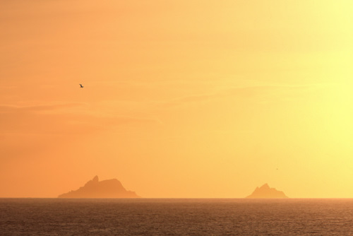 Skelligs Sunset